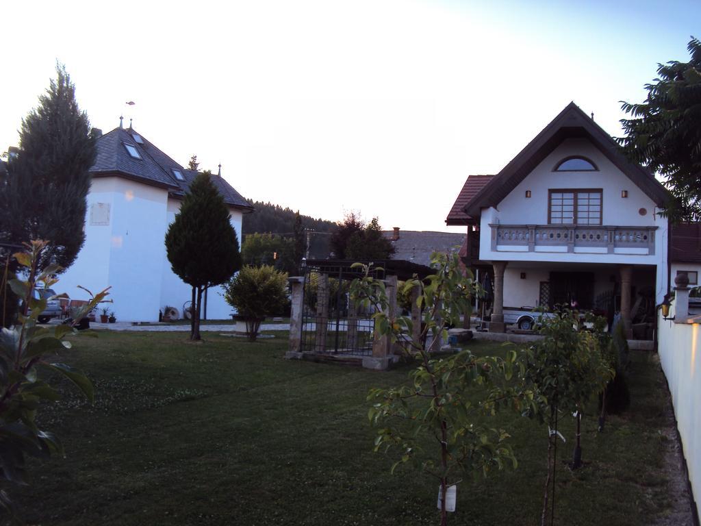 Castle Kastiel Kotesova Appartement Kamer foto